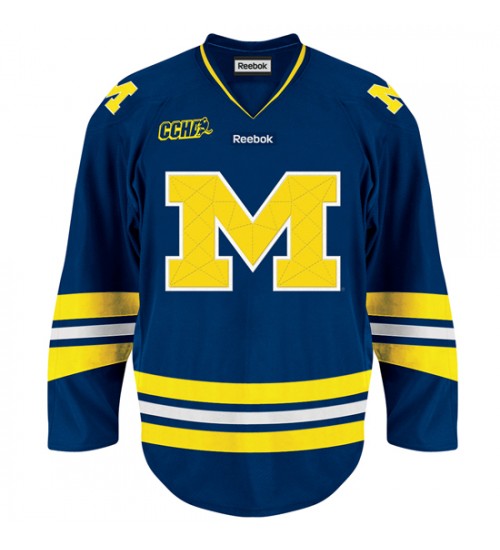 Custom 11-12 Michigan Wolverines 19 Dylan Larkin Away Hokcey Jersey Blue